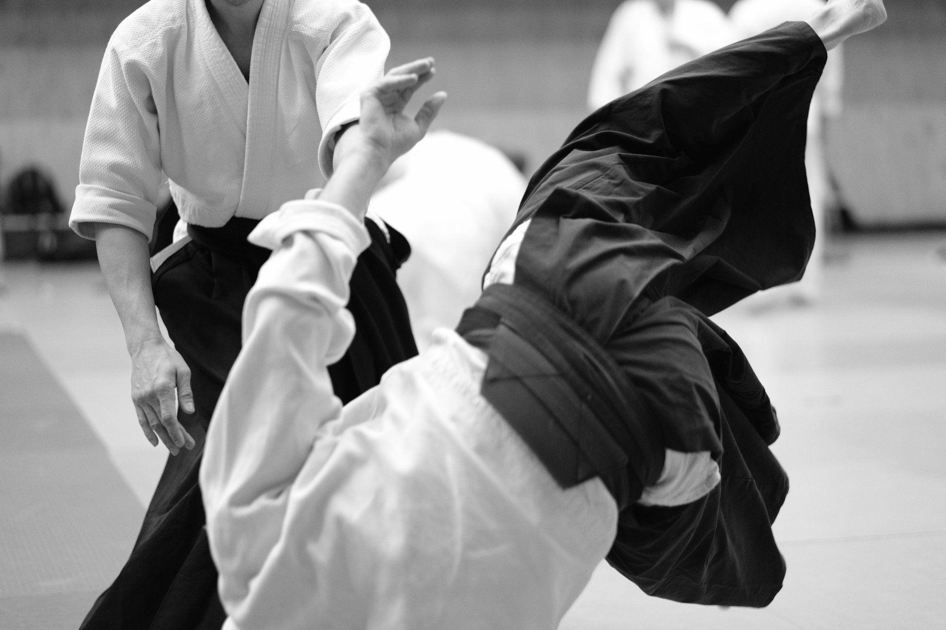 Bạn đã biết về những cảnh giới trong môn võ Aikido chưa?